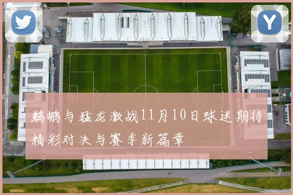 鹈鹕与猛龙激战11月10日球迷期待精彩对决与赛季新篇章