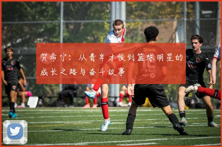 贺希宁：从青年才俊到篮球明星的成长之路与奋斗故事