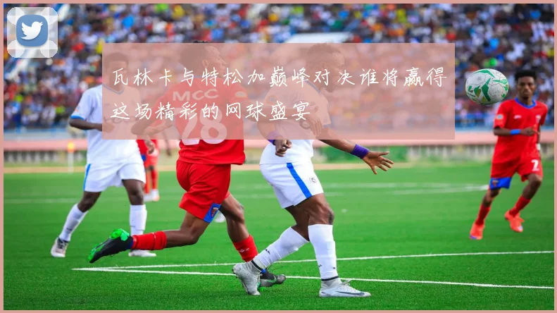 瓦林卡与特松加巅峰对决谁将赢得这场精彩的网球盛宴