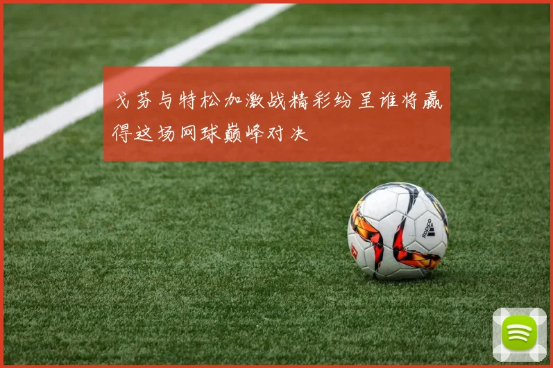 戈芬与特松加激战精彩纷呈谁将赢得这场网球巅峰对决