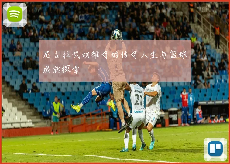 尼古拉武切维奇的传奇人生与篮球成就探索