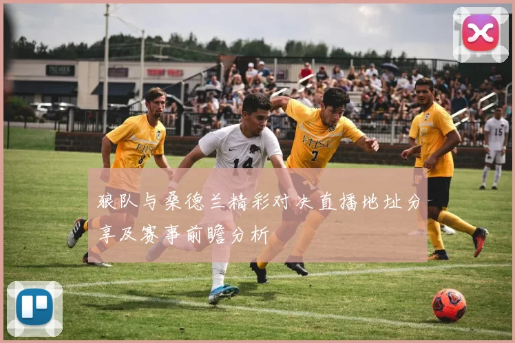 狼队与桑德兰精彩对决直播地址分享及赛事前瞻分析